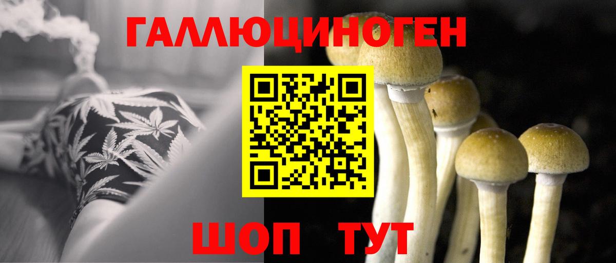 Янаул  Псилоцибиновые грибы прущие грибы  Вход с VPN 